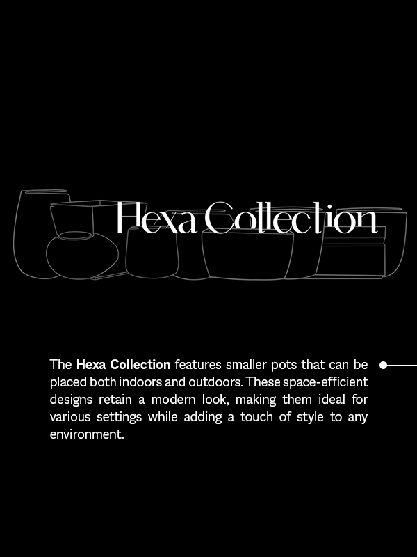 Hexa